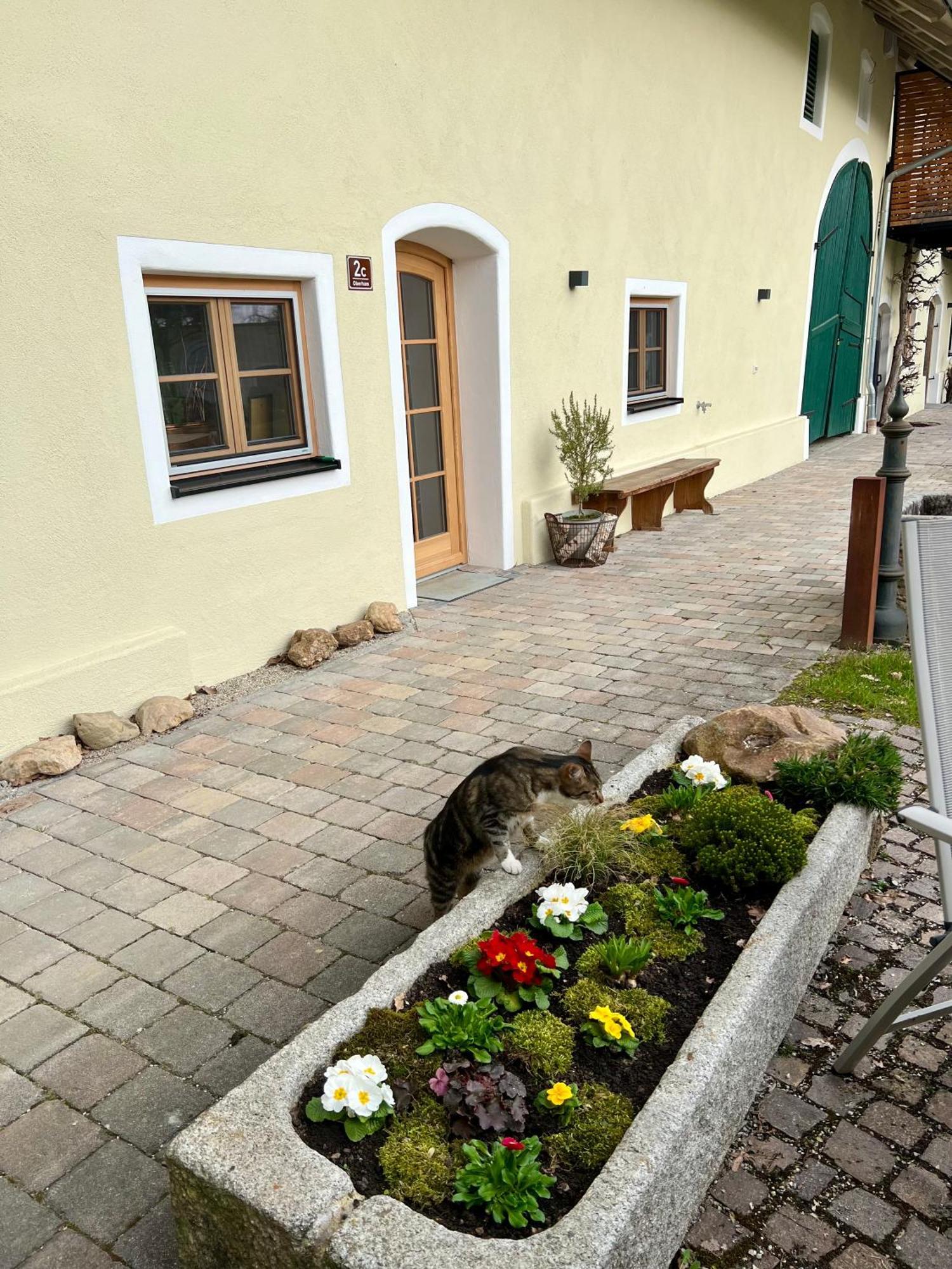 Gut Schwarz-N Hof Ferienwohnungen Bad Griesbach  Exterior photo
